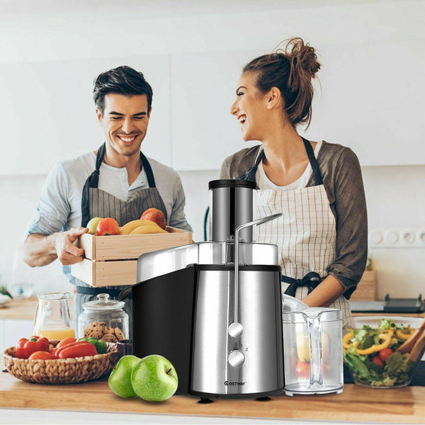 Fruit and Vegetable Electric Juice Extractor Machine