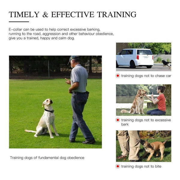 Training Collar Dog Collar Rechargeable Dog Training Collar